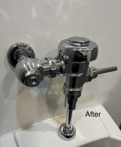 Flush Valve — Sanitization - After
