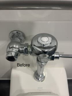 Flush Valve — Sanitization - Before