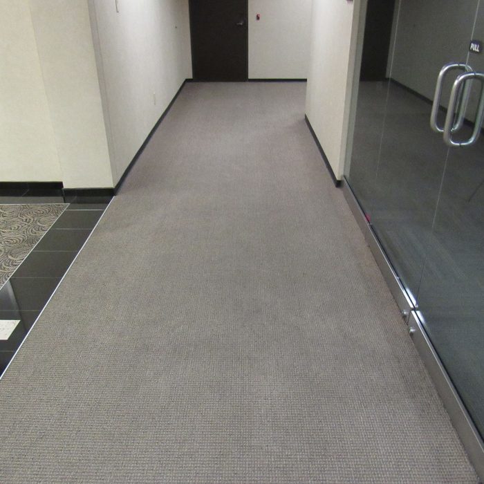 MGS_Supply_And_Services_Gallery-Carpet-2
