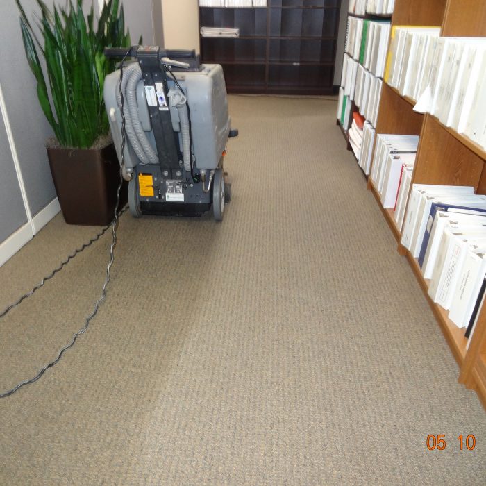 MGS_Supply_And_Services_Gallery-Carpet-6